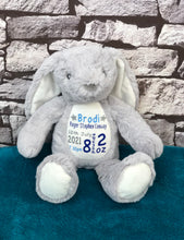 Load image into Gallery viewer, Birth Announcement Keepsake Plush
