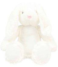 Load image into Gallery viewer, Birth Announcement Keepsake Plush
