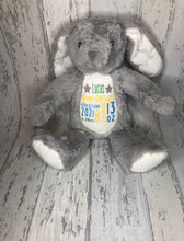 Load image into Gallery viewer, Birth Announcement Keepsake Plush
